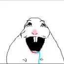 Стикер Hamsters