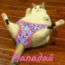 Котики и фразочки