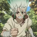 Dr Stone