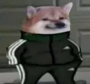 Slav Cheems