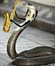 Стикер SNAKES