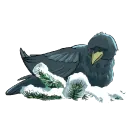 Стикер Soczewica