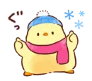 Soft and cute chick winter