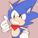 Sonic the hedgehog
