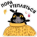 Стикер Сорока Глафира