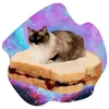 Стикер Space Cats
