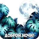 Спокойной ночи