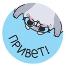 Стикер Белка Сара