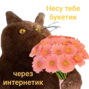 Стикер Memes
