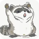 raccoons