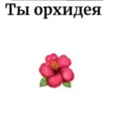 Стикер Фразы