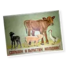 Стикер Марки СССР