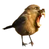 Стикер Strange Animals