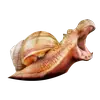 Стикер Strange Animals
