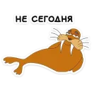 Клубника и Морж