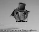 Джентльмены