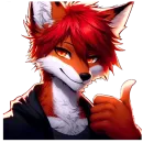 Summer fox 21