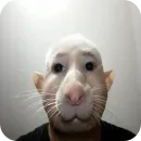 Милое аниме