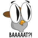 Стикер Подозрительная сова