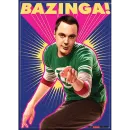 The Big Bang Theory