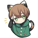 Черепаховый котенок