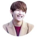 Стикер Taehyung