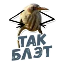 ТАК БЛЭТ