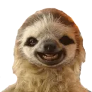 Стикер Taxidermy