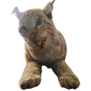 Taxidermy