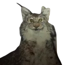 Стикер Taxidermy