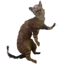 Стикер Taxidermy