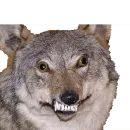 Стикер Texiderpy!