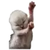Стикер Котики