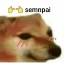 Стикер Memes