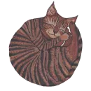 The Bonya C