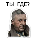 Стикер ТНО шиза