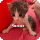 This is my