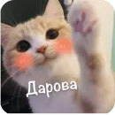 Стикер This is my