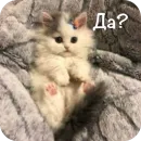 Стикер This is my
