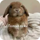 Стикер This is my