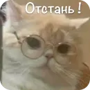 Стикер This is my
