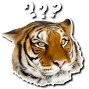 Стикер Tiger Tiger