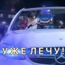 Стикер Timidi_Kopchik