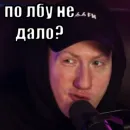 Стикер Тимурус Кашинус