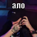 Стикер Тимурус Кашинус
