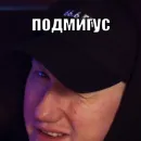 Стикер Тимурус Кашинус