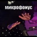Стикер Тимурус Кашинус