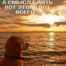 Стикер TomiokO4ka