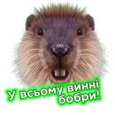 Стикер Телебачення Торонто