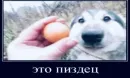 Стикер Memes